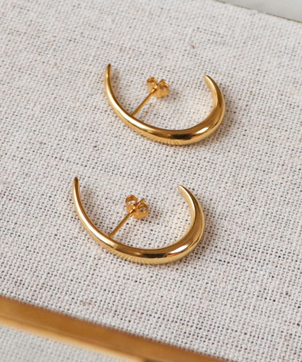 Hook Earrings