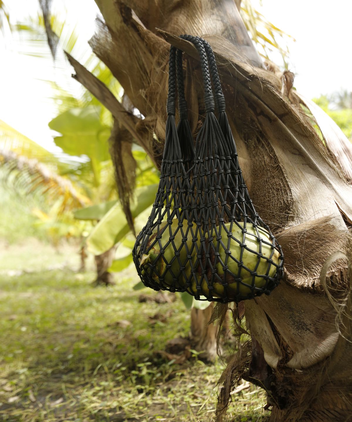 B475CE86-1FC1-4DFB-B00A-